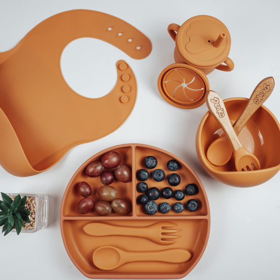 Silicone Meal Set - Compartmentalized - (9 items)